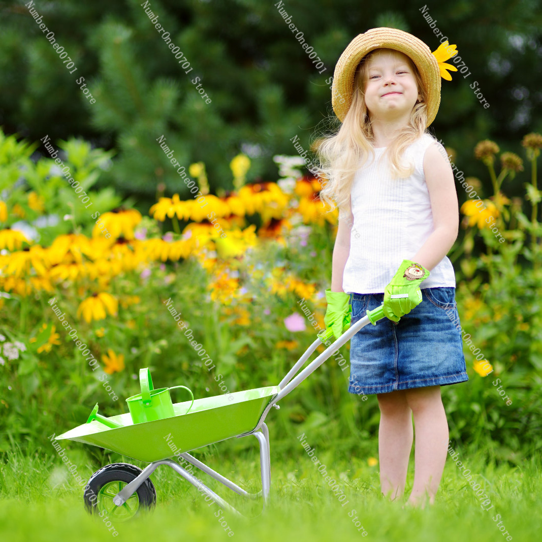 Carretilla de Jardín para Niño - Kids Outdoor Garden Toys reseña y precio